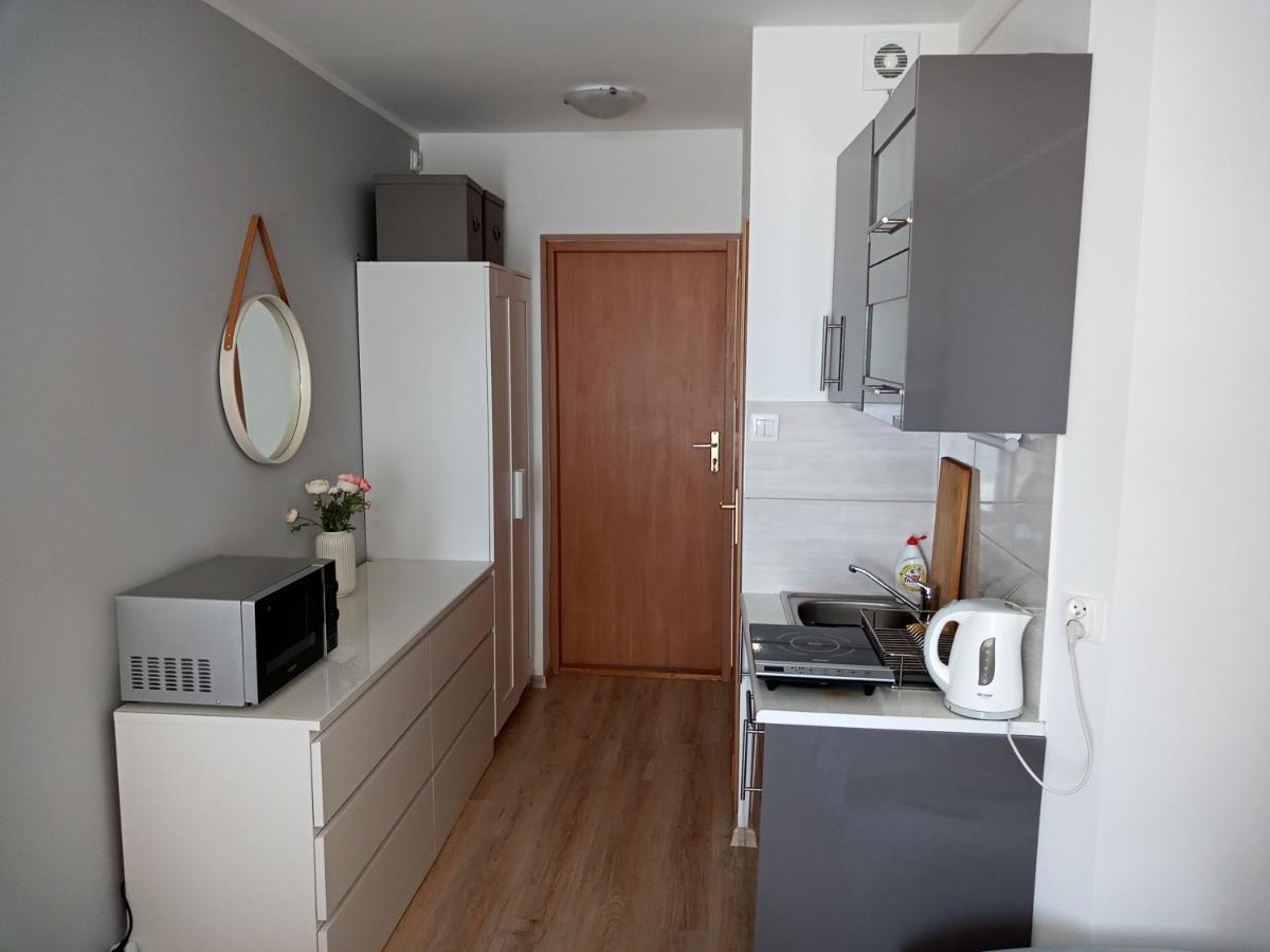 Apartament U Muzykow 库瑞尼卡慕斯卡 外观 照片
