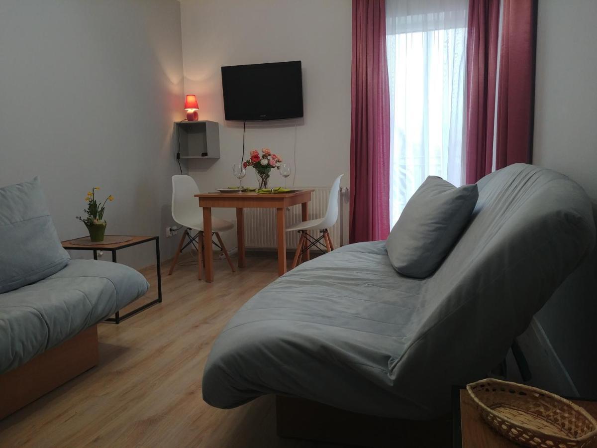 Apartament U Muzykow 库瑞尼卡慕斯卡 外观 照片